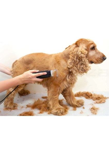 ® Köpek Traş Aleti Mepol 8008 Köpek Traş Makinesi