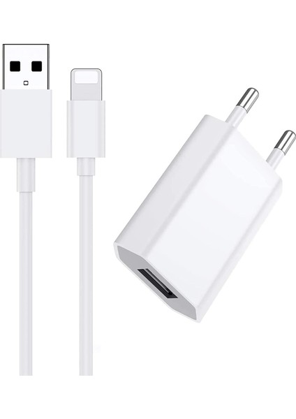 x 8 7 6 5 Için Şarj Aleti Newpole 1 Metre Lightning Hızlı Şarj Kablosu ve Adaptörü. Için Şarj Seti Xr x Xs Max 8 7 6 6s Plus 5 Se Için Şarj Aleti