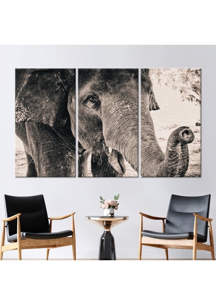3 Parçalı Kanvas Tablo, Fil Fotoğraf Baskısı, Fil Sevgili Hediyesi Kanvas Dekor, Hayvan Sanat Eseri,