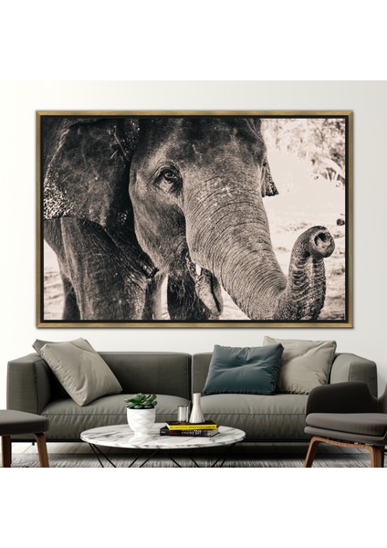 1 Parça Gold Çerçeveli Kanvas Tablo, Fil Fotoğraf Baskısı, Hayvan Kanvas,