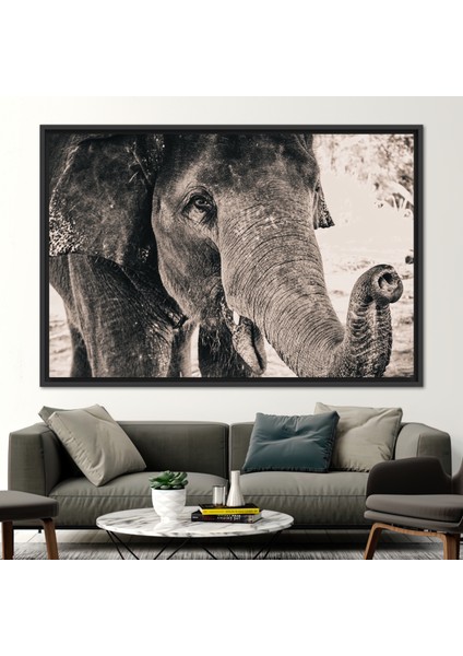 1 Parça Siyah Çerçeveli Kanvas Tablo, Fil Fotoğraf Baskısı, Vahşi Yaşam Fil Kanvas,