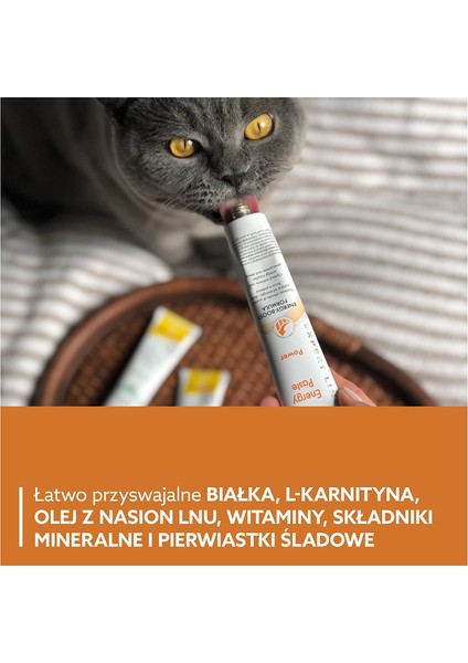 Energy Paste Kedi Macunu 50GR