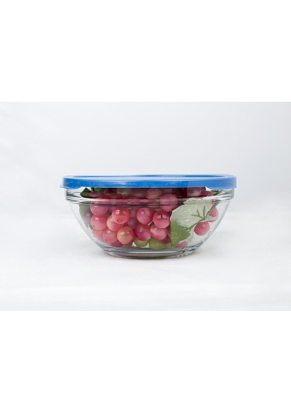 3'lü Kapaklı Saklama Kabı Mavi modelleri