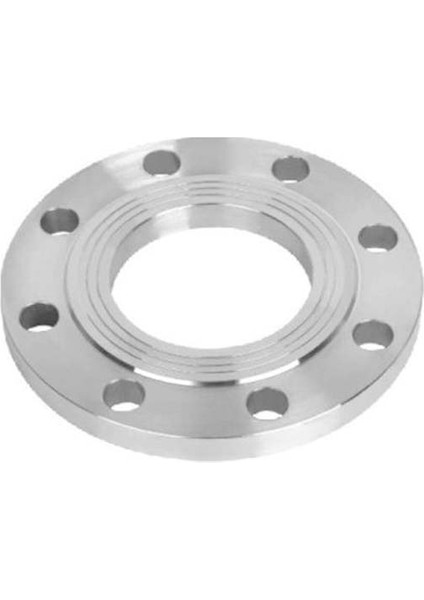 DN100 Düz Flanş PN10 En 1092-1