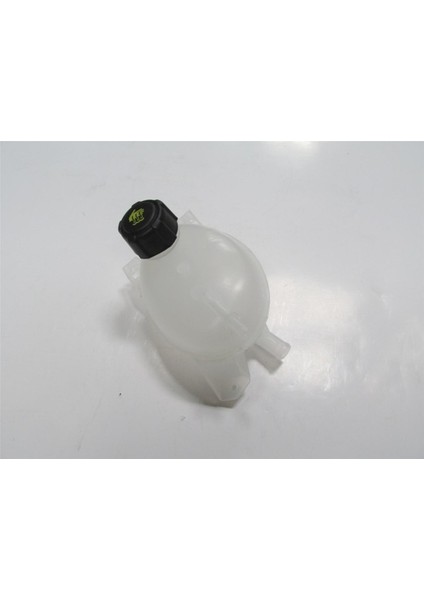 Dacıa Sandero- 13/20 Radyatör Yedek Su Deposu Kapaklı (Pleksan) 217104354R modelleri
