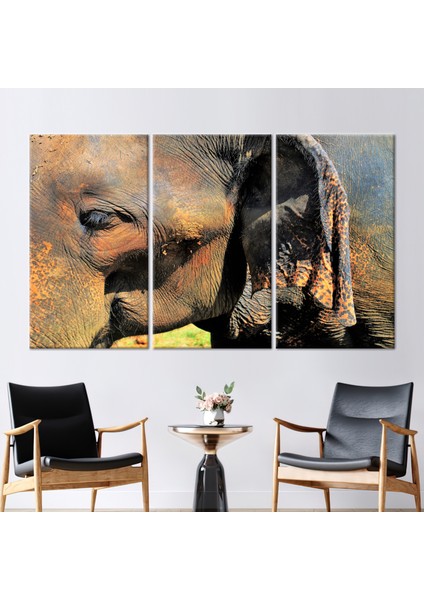3 Parçalı Kanvas Tablo, Safari Kanvas Dekor, Fil Kanvas, Eski Fil Posteri,