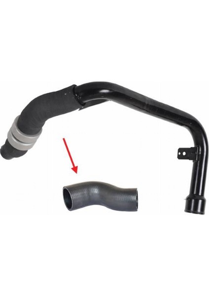 Fıat Ducato (250) 2.2 Mjt 2006 - 2014 Turbo Hortumu 0382.LY|1359961080