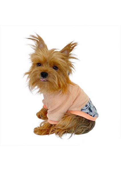 Minnie Pink Sweatshirt Köpek Kıyafeti Köpek Elbisesi modelleri