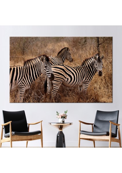 1 Parça Kanvas Tablo, Safari Sanat Eseri, Üç Zebra Kanvas Dekor, Vahşi Zebra 3 Boyutlu Kanvas,