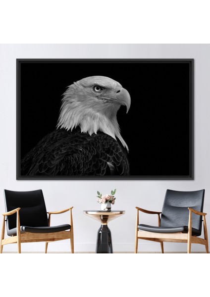 1 Parça Siyah Çerçeveli Kanvas Tablo, Kartal Fotoğraf Baskısı, Majestic Bald Eagle Baskılı,