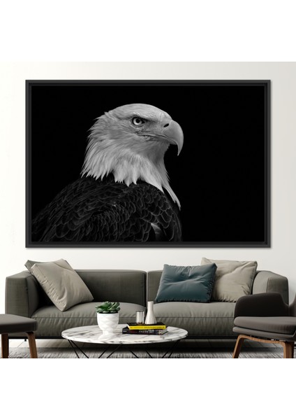 1 Parça Siyah Çerçeveli Kanvas Tablo, Kartal Fotoğraf Baskısı, Majestic Bald Eagle Baskılı, fiyatları