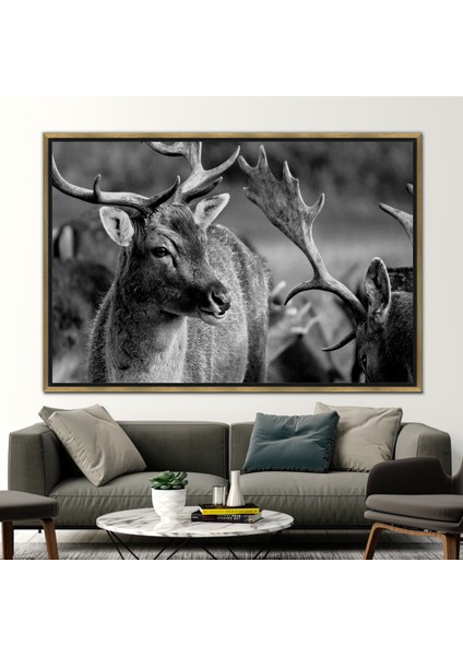 1 Parça Gold Çerçeveli Kanvas Tablo, Geyik Yaban Hayatı Fotoğraf Baskı, Çatı Katı Sanat,