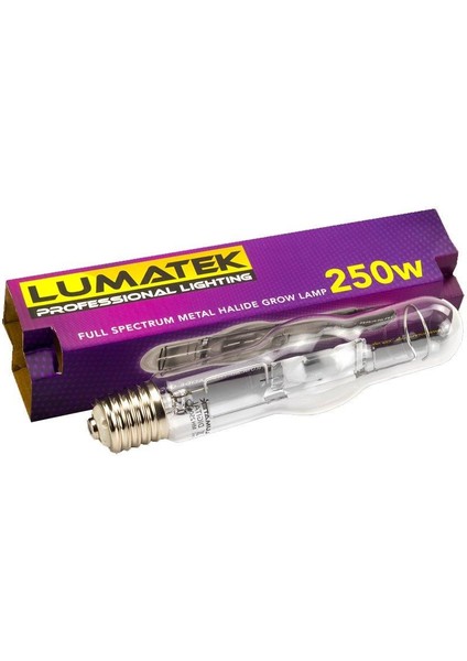250W Mh Gelişim Dönemi