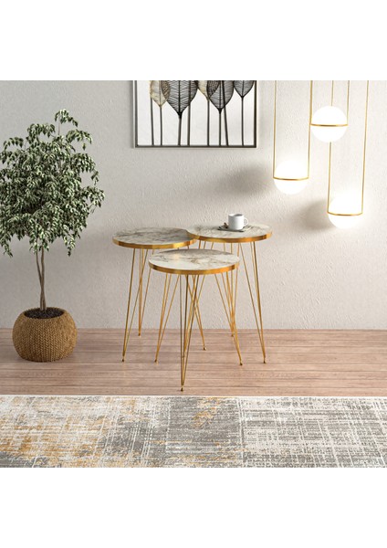 Efes Gold Metal Ayaklı Gold Detaylı 3 Lü Zigon Sehpa Yuvarlak