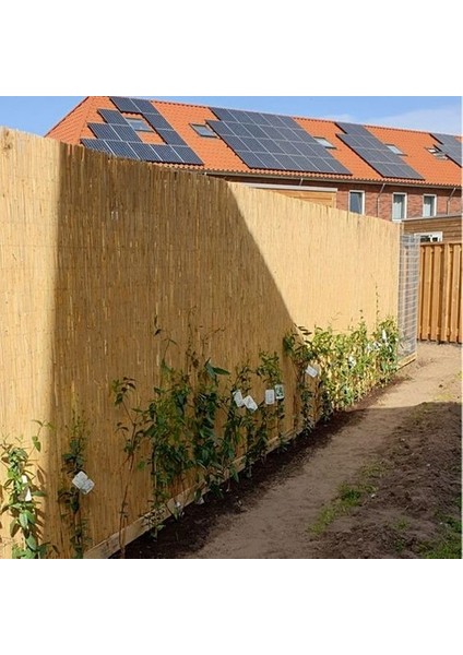 Has Bambu Çit Kamış Çit Hasır Çit 1x5 Metre Eni 1 Metre Uzunluk 5 Metre