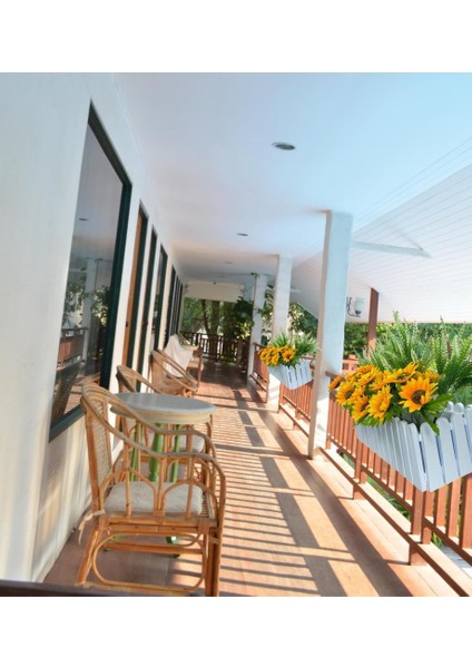 Yapay Çiçek Beyaz Çit Balkon Saksısı Ay Çiçekli 55*20CM
