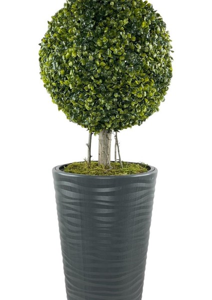 Yapay Ağaç Antrasit Uzun Kumsal Vazoda Şimşir Top Tek Toplu 105CM fiyatları