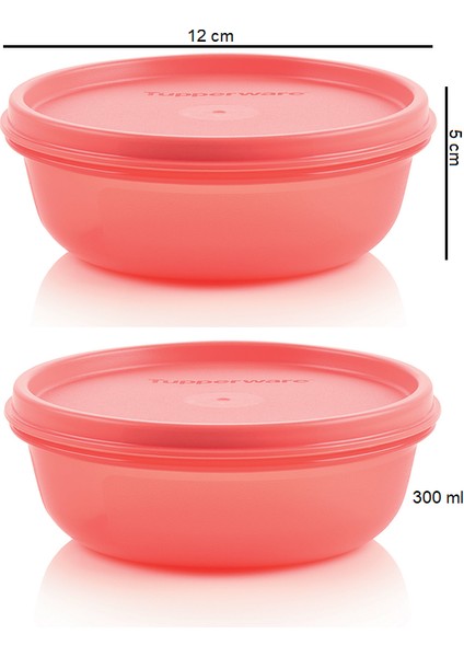 Buzdolabı Saklama Kabı 2X300 ml Şeker Kaplar Hsgl