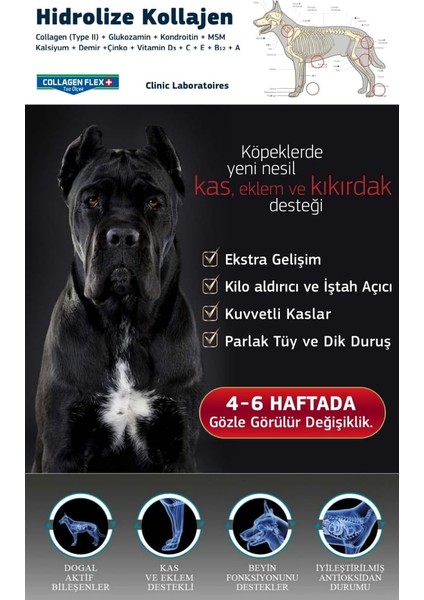 Canina Flex Collagen Glukozamin 2 Adet Köpekler Için Yeni Nesil Kemik Kas Eklem ve Kıkırdak Desteği.