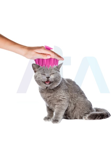 Yumuşak Silikon Uçlu Kedi Köpek Kaşıma Yıkama Fırçası Tarağı Vantuzlu fiyatları