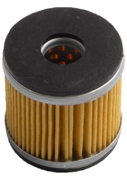 Benelli Tnt 25/BN251/TRK251 Yağ Filtre