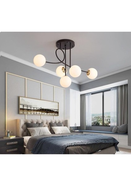 Jade Lüks Modern Siyah Renk Gövde Beyaz Camlı 5 Li Avize