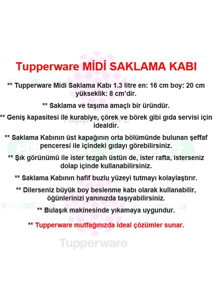 Saklama Kabı F20 Midi Kurabiye Börek Beslenme Kabı Hsgl modelleri