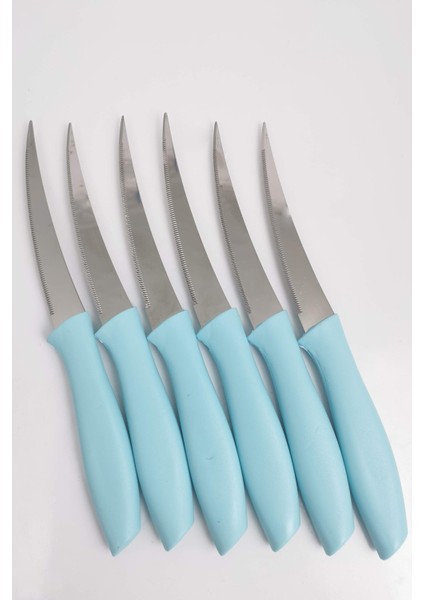 6'lı Paslanmaz Çelik Meyve Sebze Bıçağı Mavi