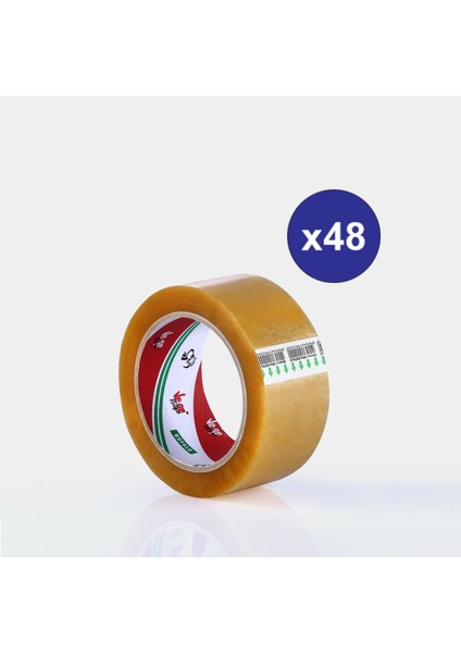 Vege Koli Bandı 45X100 Şeffaf Bufalo 48 Adet