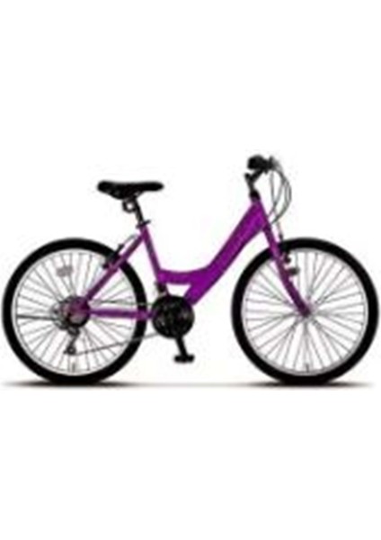 Ümit 2400 24 Ümit Colorado Klasik Mtb Lady Bisiklet (Mor)