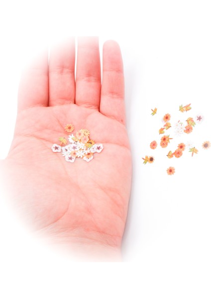 5 D Renkli Mini Çiçek Bahar Tonları fiyatları