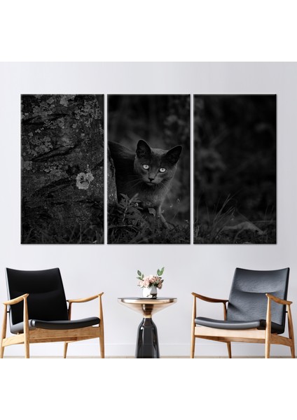 3 Parçalı Kanvas Tablo, Kara Kedi Fotoğraf Baskısı, Kedi Lover Hediyesi Sanat Eseri,