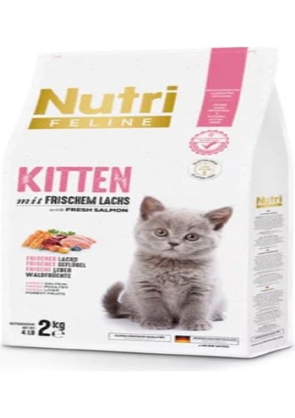 Glutensiz Somonlu Düşük Tahıllı Yavru Kedi Maması 2kg