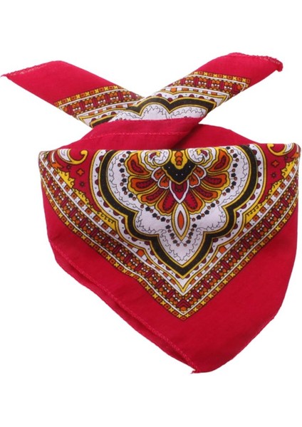 Afillix Concept Etnik Desen Pembe Çerçeve Tasarım %100 Pamuk Bandana