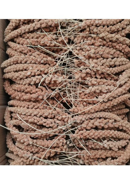 Doğal Üretim Kızıl Dal Darı 500 gr fiyatları