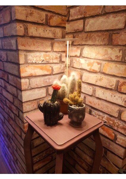 LED Lamba DC5V USB Phytolamp Tam Spektrumlu Bitki Lamba Tek Melek Halka Günışığı -Hidroponik