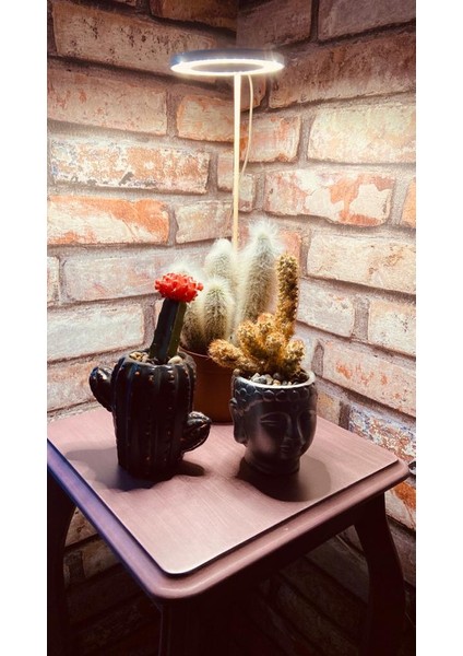 LED Lamba DC5V USB Phytolamp Tam Spektrumlu Bitki Lamba Tek Melek Halka Günışığı -Hidroponik fiyatları