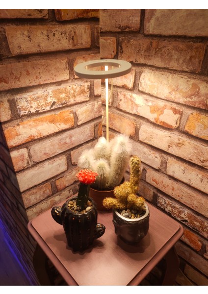 LED Lamba DC5V USB Phytolamp Tam Spektrumlu Bitki Lamba Tek Melek Halka Günışığı -Hidroponik modelleri