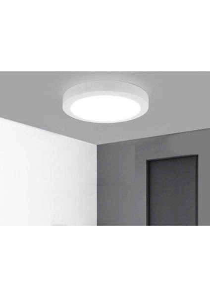 Vies Teknoloji LED Banyo Balkon Tuvalet Lambası Tavana Sıfır LED Armatür Avize 6500K Beyaz Işık