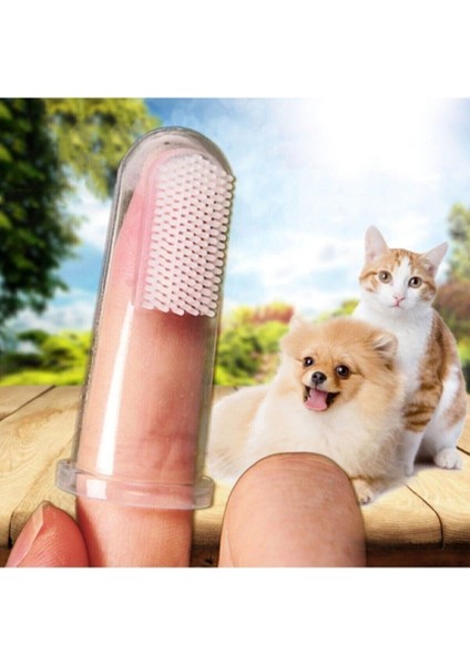 Kedi Ve Köpek Için Parmak Diş Fırçası, Saklama Kutulu modelleri