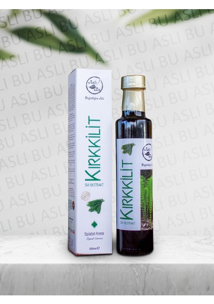 Kırkkilit Sıvı Ekstraktı 250 ml 3'lü
