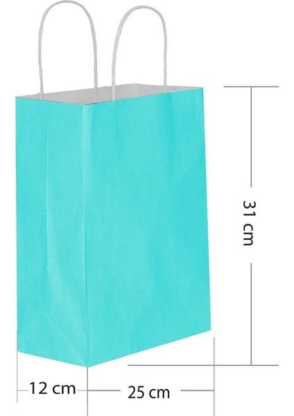 5 Li Büyük Boy 25X31 cm Büküm Saplı Kağıt / Karton Çanta-Poşet Mavi