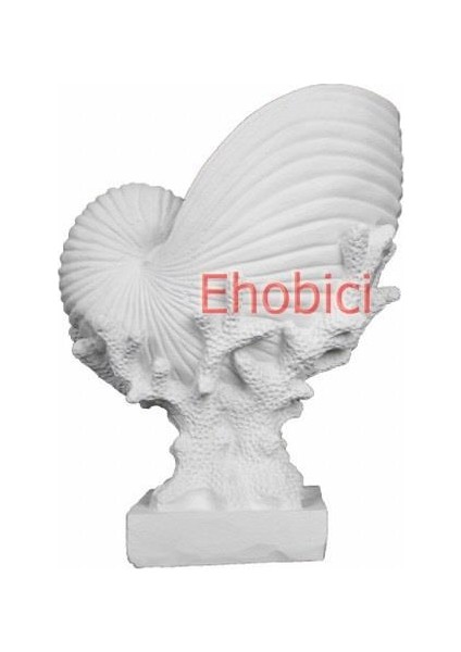 Polyester Mercan Üzerinde Deniz Kabuğu 26X20CM HYK590
