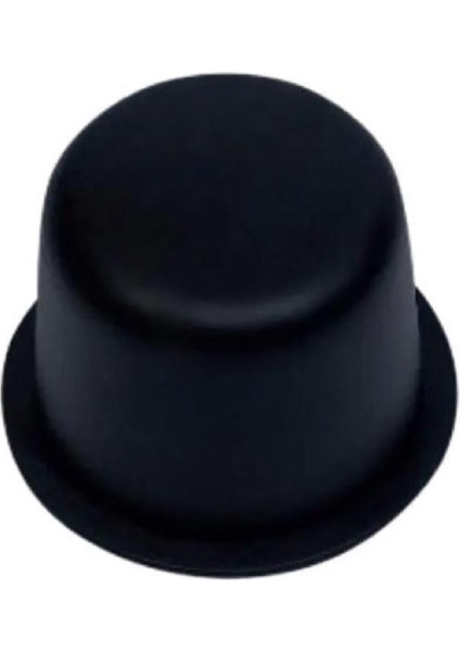 Ford Radyo Düğmesi