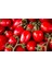 Yerli Ata Tohumu Chery Domates 50 Adet 2
