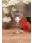 Amore Kadeh 6'lı 280 cc 043OA 5