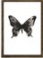 Masif Çerçeveli Kelebek Baskılı Tablo 2