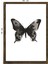 Masif Çerçeveli Kelebek Baskılı Tablo 3