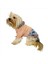 Minnie Pink Sweatshirt Köpek Kıyafeti Köpek Elbisesi 5