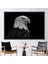 1 Parça Siyah Çerçeveli Kanvas Tablo, Kartal Fotoğraf Baskısı, Majestic Bald Eagle Baskılı, 1